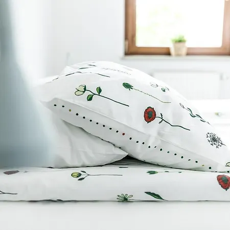 Modern House In Old Town Numero 8 * Krakau