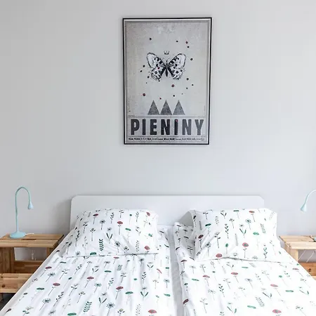 Modern House In Old Town Numero 8 * Cracovia