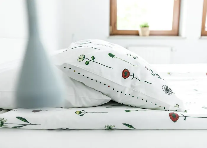 Modern House In Old Town Numero 8 * Cracovia